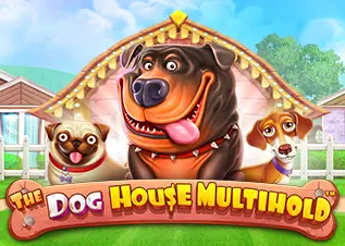 สมัคร สล็อต 168 เว็บตรง The Dog House Multihold ทดลองเล่นฟรี